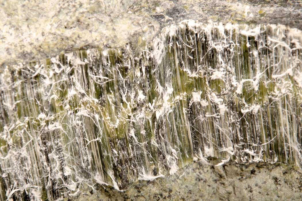 Lush Chrysotile Asbestos Less Than 1 View Digital Art